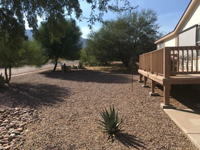 Front yard