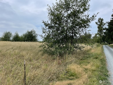 4935 E 3rd Dr, Bellingham, WA 98226 - photo 7