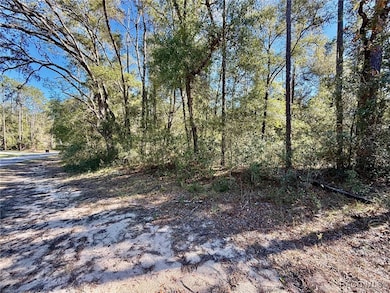 1926 W Rolling Place, Citrus Springs, FL 34434 - photo 3