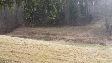 Peaceful back yard