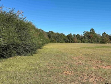 14B  / TBD Old Spanish Trial Dr, Alto, TX 75925 - photo 5