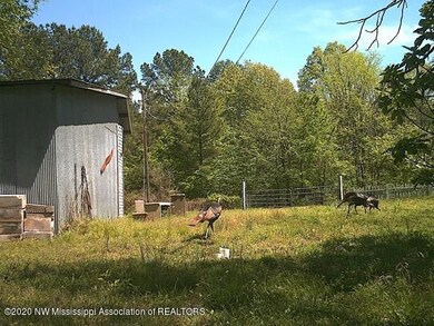 236 INDIAN CREEK - TURKEY (2)