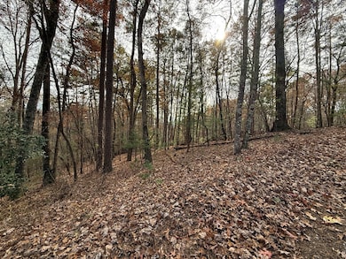 12 N Ridge Dr, Ellijay, GA 30540 - photo 6