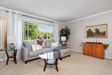 29-web-or-mls-DSC09530