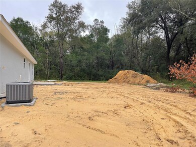 20024 Beach Blvd, Dunnellon, FL 34431 - photo 5