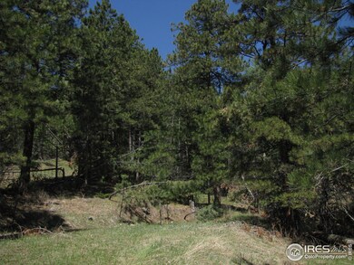 0 Little Whale Rd unit 698616, Bellvue, CO 80512 - photo 6