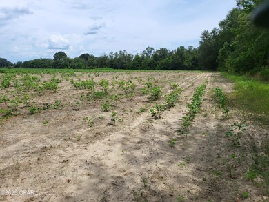 000 Joiner Rd, Chipley, FL 32428 - photo 5