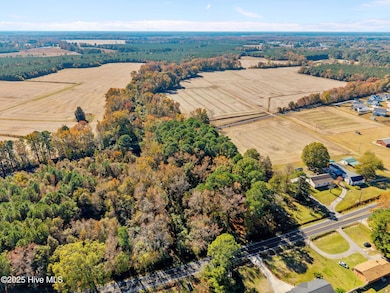 3278 Moye-Turnage Rd, Farmville, NC 27828 - photo 5