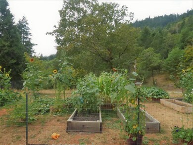 Garden - Raised beds