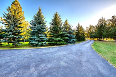 3606 Bears Rd, Stevensville, MT 59870 - photo 6