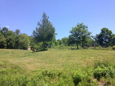 pasture to the northeast of home....