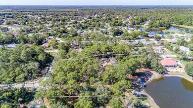 Aerial View (3)