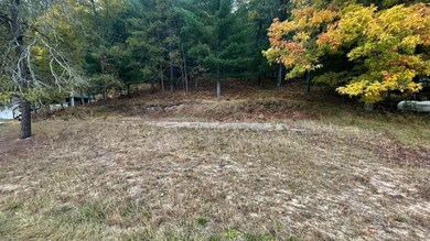 6534 W Nugent View Ln unit Lot 87, Sweetwater Township, MI 49304 - photo 7