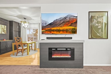 1742 W 102nd Ave, Thornton, CO 80260 - photo 4