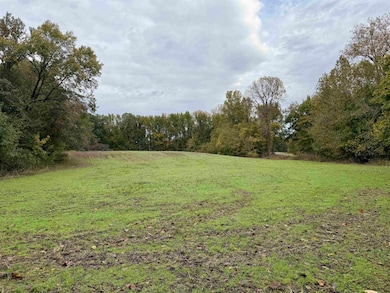 0 Faye Barfield Rd, Henning, TN 38041 - photo 7