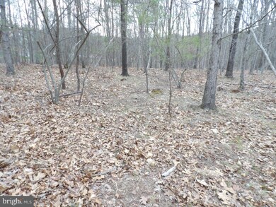 12 Cielo Ln, Berkeley Springs, WV 25411 - photo 3