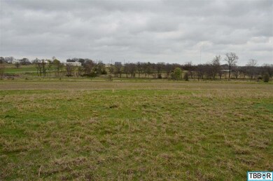 0 Willow Grove unit 9112508, Moody, TX 76557 - photo 4