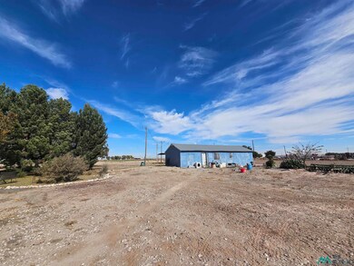 77 Duarte Rd, Malaga, NM 88263 - photo 4