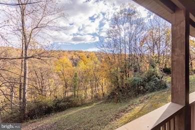 900 Crooked Run Rd, Shenandoah, VA 22849 - photo 5