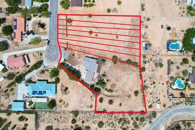 Peach Tree Ln-6