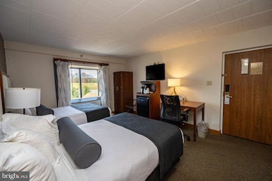 290 Marsh Hill Rd unit 501L, Mc Henry, MD 21541 - photo 5