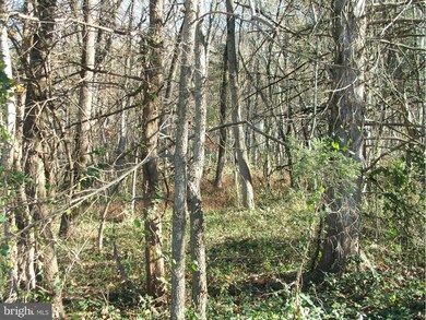 0 Deer Rapids Rd unit VASH113976, Strasburg, VA 22657 - photo 2