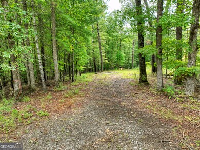 LOT 45 Synacia Dr, Mineral Bluff, GA 30559 - photo 7