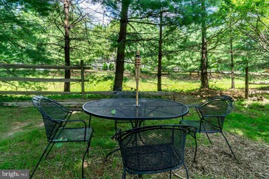 151 S Maple Ave, Purcellville, VA 20132 - photo 5