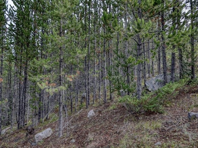 89 Summit, Big Sky, MT 59716 - photo 5