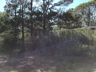 8414 W Sherri Cir, Manvel, TX 77578 - photo 6