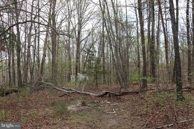 0 Mallorys Ford Rd unit 1000142097, Gordonsville, VA 22942 - photo 3