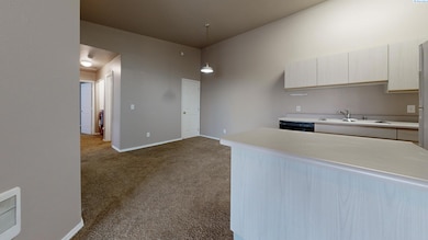 1645 NE Merman Dr unit D304, Pullman, WA 99163 - photo 6