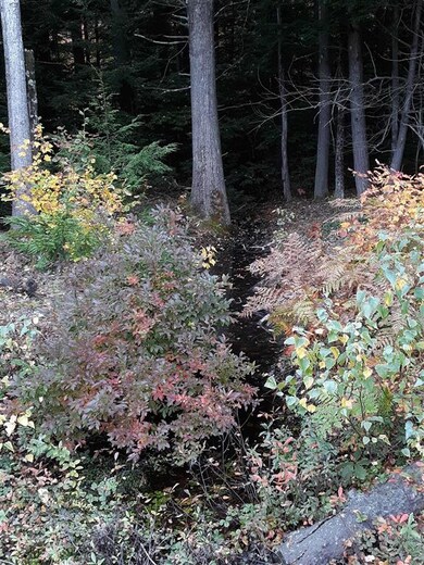 0 Warwick Rd, Winchester, NH 03470 - photo 6