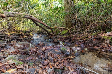 Lot Huckleberry Dr unit 24, Maggie Valley, NC 28751 - photo 2