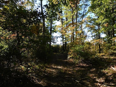 91.1 Acr Elkhorn Rd, Java, VA 24565 - photo 7