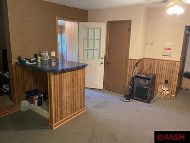 911 N Valley St, New Ulm, MN 56073 - photo 7