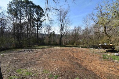 112 Perry St, Linden, TN 37096 - photo 5