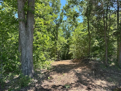 Trail