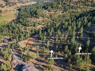 31635 E Ringneck Ln, Davenport, WA 99122 - photo 5