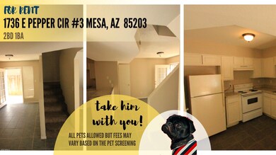 1736 E Pepper Cir unit 3, Mesa, AZ 85203 - photo 3