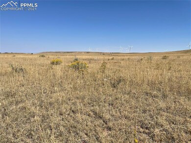 29040 Paint Mine Rd, Calhan, CO 80808 - photo 5