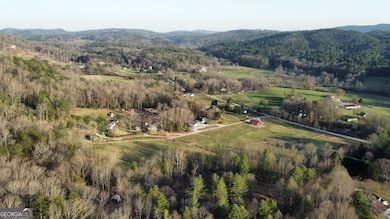 Drone View