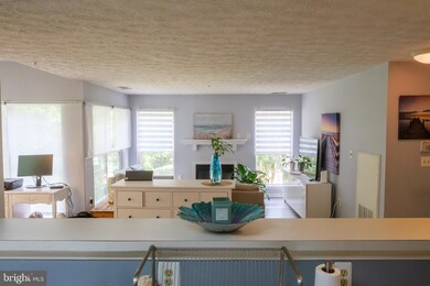 15604 Everglade Ln, Bowie, MD 20716 - photo 6