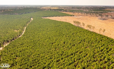 0 Mapleton Rd, Murfreesboro, NC 27855 - photo 4