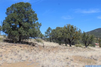 xxxx N Swan St, Silver City, NM 88061 - photo 5