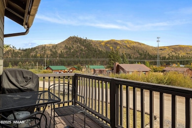 87 1120, Greer, AZ 85927 - photo 6