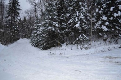 62 Rogers Pond Rd, Pittsburg, NH 03592 - photo 3
