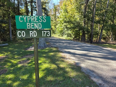 312 County Road 174, Jasper, TX 75951 - photo 6