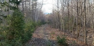 20210420_180121_resized