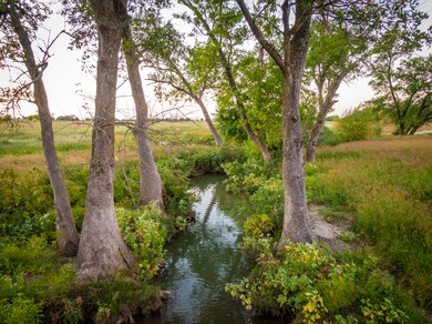 15965 Fm 107, Moody, TX 76557 - photo 2